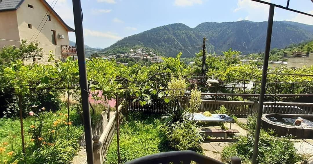Shota'S Guest House Borjomi ภายนอก รูปภาพ