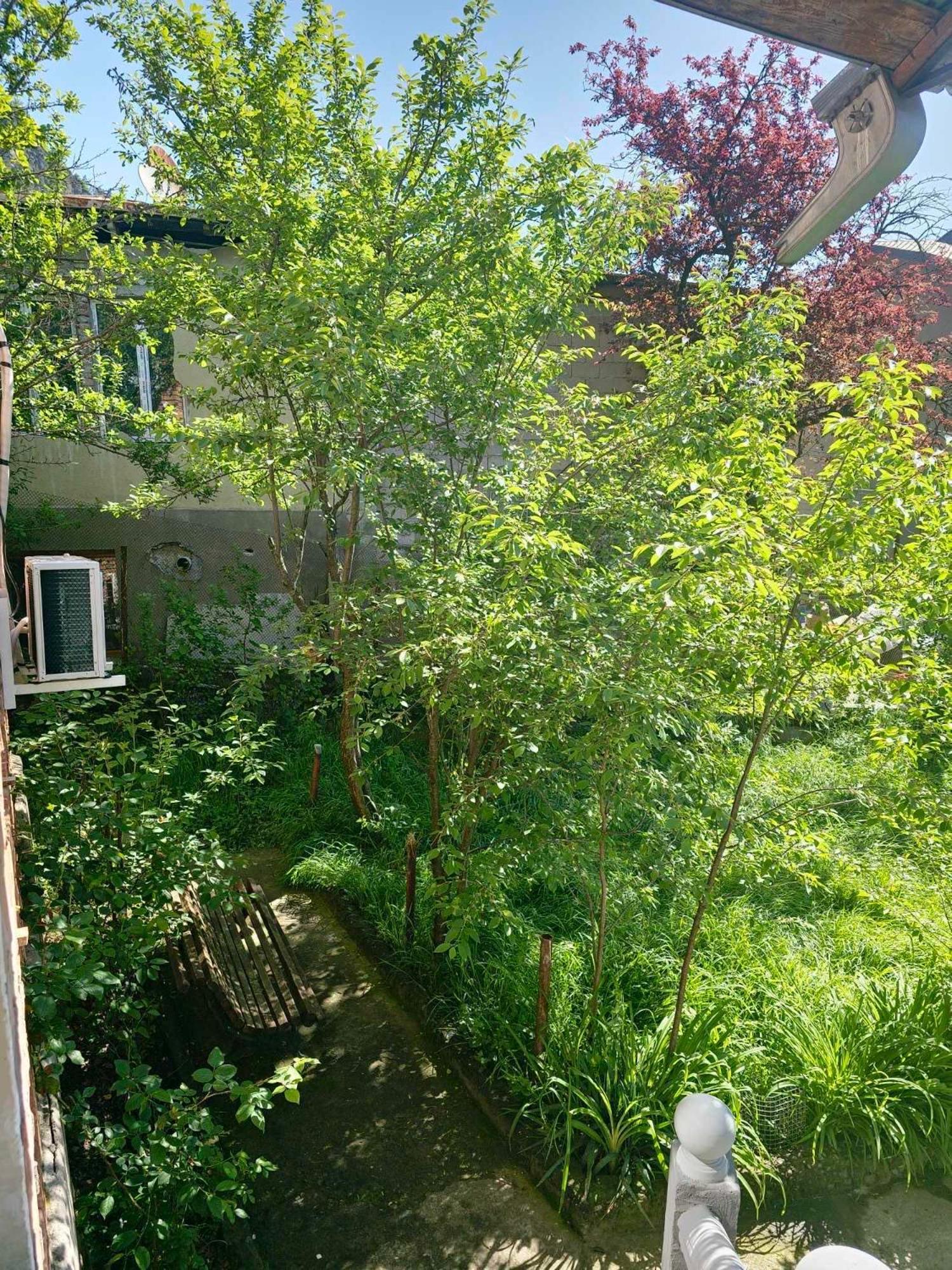 Shota'S Guest House Borjomi ภายนอก รูปภาพ